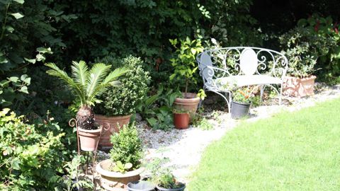 Les jardins des particuliers peuvent être une porte d’entrée pour certains organismes nuisibles, d’où l’importance de bien informer les amateurs sur les risques de certaines pratiques. ©L. Hespel